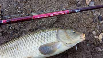 f:id:puchitenshi:20170312123725j:image f:id:puchitenshi:20170312123725j:image