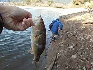 f:id:puchitenshi:20170312123756j:image f:id:puchitenshi:20170312123756j:image