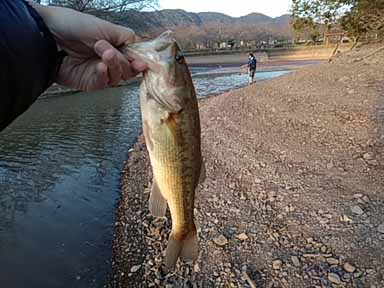 f:id:puchitenshi:20170312123908j:image f:id:puchitenshi:20170312123908j:image