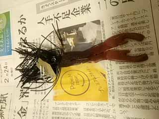 f:id:puchitenshi:20170315200357j:image f:id:puchitenshi:20170315200357j:image