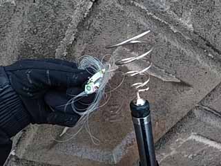 f:id:puchitenshi:20170319123303j:image f:id:puchitenshi:20170319123303j:image