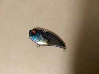 f:id:puchitenshi:20170430115931j:image f:id:puchitenshi:20170430115931j:image