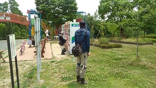 f:id:puchitenshi:20170619201849j:plain