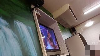 f:id:puchitenshi:20170624100345j:plain f:id:puchitenshi:20170624100345j:plain