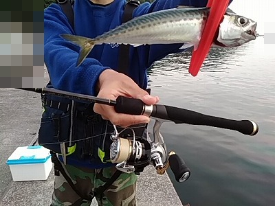 f:id:puchitenshi:20170626215429j:plain f:id:puchitenshi:20170626215429j:plain