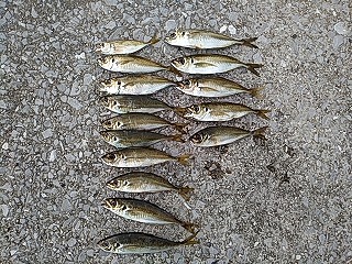 f:id:puchitenshi:20170626215514j:plain f:id:puchitenshi:20170626215514j:plain