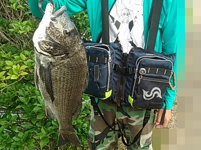 f:id:puchitenshi:20170721125222j:plain f:id:puchitenshi:20170721125222j:plain