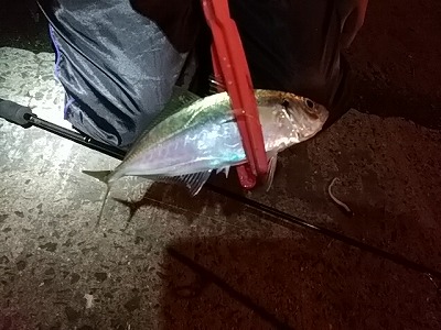 f:id:puchitenshi:20171205025637j:plain