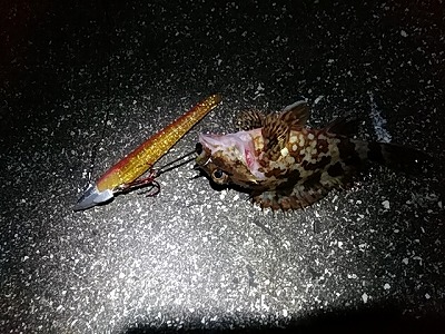 f:id:puchitenshi:20171205030038j:plain