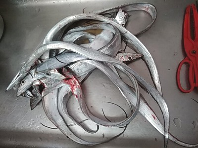 f:id:puchitenshi:20171205030331j:plain