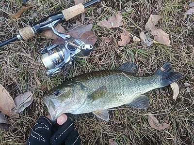 f:id:puchitenshi:20180111230938j:plain f:id:puchitenshi:20180111230938j:plain