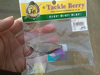 f:id:puchitenshi:20180127010651j:plain