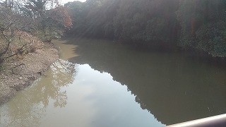 f:id:puchitenshi:20180201205810j:plain