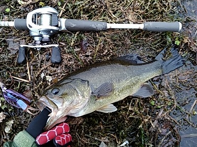 f:id:puchitenshi:20180228004630j:plain f:id:puchitenshi:20180228004630j:plain