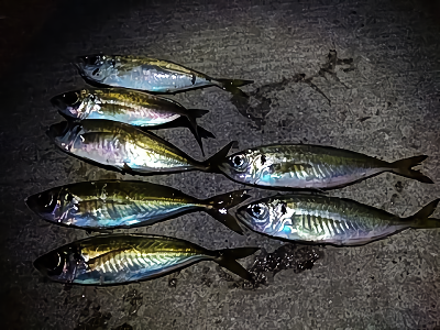 f:id:puchitenshi:20180417223608p:plain