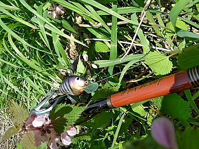 f:id:puchitenshi:20180422113920p:plain