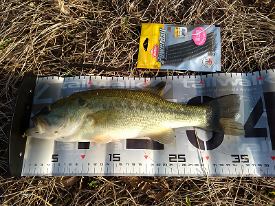 f:id:puchitenshi:20180422113948p:plain