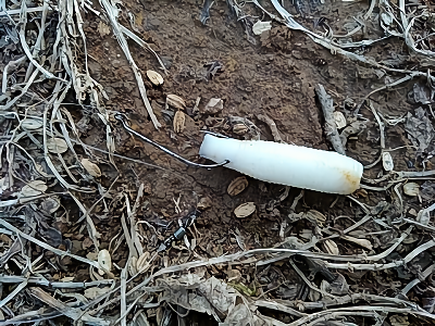 f:id:puchitenshi:20180503235938p:plain