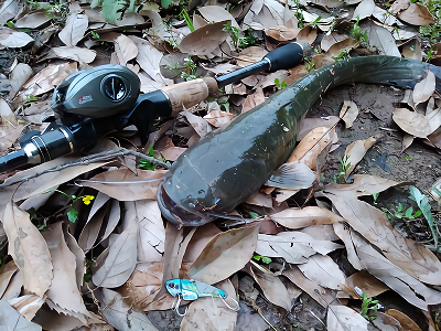 f:id:puchitenshi:20180508010051p:plain f:id:puchitenshi:20180508010051p:plain