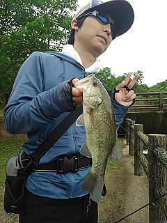 f:id:puchitenshi:20180510025511p:plain f:id:puchitenshi:20180510025511p:plain