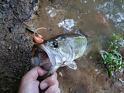 f:id:puchitenshi:20180521060946p:plain f:id:puchitenshi:20180521060946p:plain