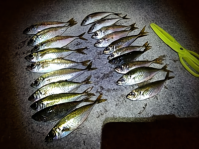 f:id:puchitenshi:20180607202043p:plain f:id:puchitenshi:20180607202043p:plain