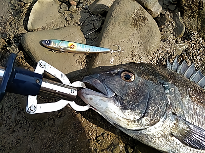 f:id:puchitenshi:20180619175140p:plain