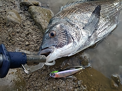 f:id:puchitenshi:20180619175152p:plain