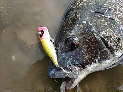 f:id:puchitenshi:20180619175205p:plain