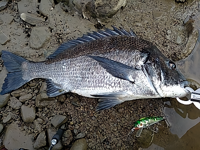 f:id:puchitenshi:20180619175232p:plain