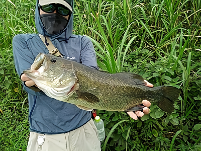 f:id:puchitenshi:20180801103022p:plain f:id:puchitenshi:20180801103022p:plain