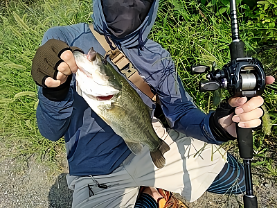 f:id:puchitenshi:20180801103234p:plain f:id:puchitenshi:20180801103234p:plain