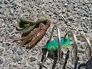 f:id:puchitenshi:20181103132538j:plain f:id:puchitenshi:20181103132538j:plain