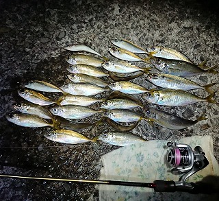 f:id:puchitenshi:20181107004353j:plain