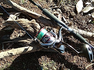 f:id:puchitenshi:20181120231045j:plain f:id:puchitenshi:20181120231045j:plain