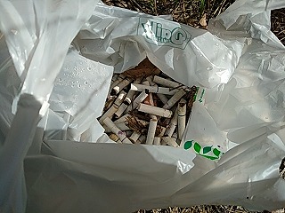 f:id:puchitenshi:20181120231120j:plain f:id:puchitenshi:20181120231120j:plain