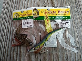 f:id:puchitenshi:20181120231148j:plain f:id:puchitenshi:20181120231148j:plain