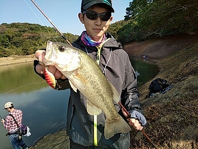 f:id:puchitenshi:20181128023123j:plain f:id:puchitenshi:20181128023123j:plain