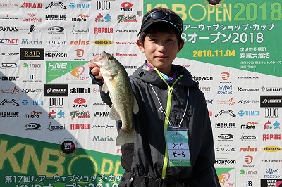 f:id:puchitenshi:20181128024157j:plain f:id:puchitenshi:20181128024157j:plain