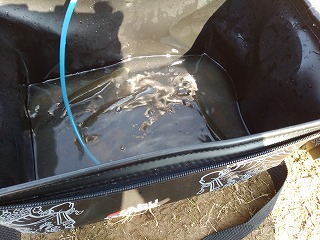 f:id:puchitenshi:20181205113035j:plain f:id:puchitenshi:20181205113035j:plain