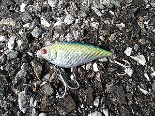 f:id:puchitenshi:20190104191557j:plain f:id:puchitenshi:20190104191557j:plain