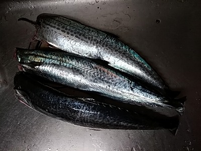 f:id:puchitenshi:20190104191614j:plain f:id:puchitenshi:20190104191614j:plain