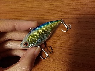 f:id:puchitenshi:20190104191745j:plain f:id:puchitenshi:20190104191745j:plain