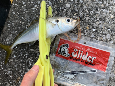 f:id:puchitenshi:20190120225711p:plain f:id:puchitenshi:20190120225711p:plain