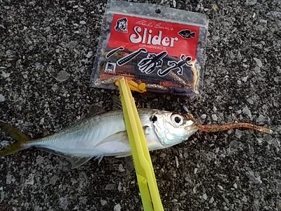 f:id:puchitenshi:20190129105417j:plain f:id:puchitenshi:20190129105417j:plain