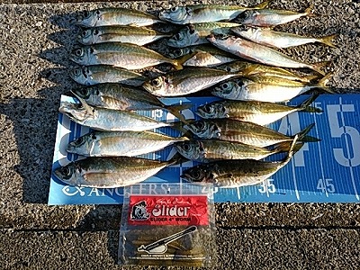 f:id:puchitenshi:20190129105445j:plain f:id:puchitenshi:20190129105445j:plain