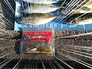 f:id:puchitenshi:20190129105457j:plain f:id:puchitenshi:20190129105457j:plain