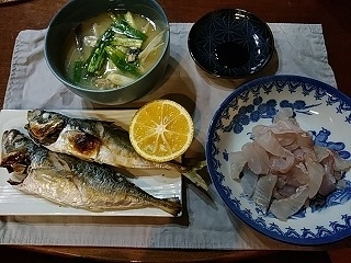 f:id:puchitenshi:20190129105606j:plain f:id:puchitenshi:20190129105606j:plain