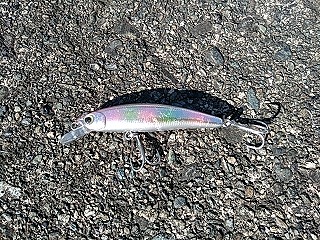 f:id:puchitenshi:20190203230401j:plain f:id:puchitenshi:20190203230401j:plain