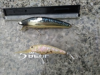 f:id:puchitenshi:20190203230457j:plain f:id:puchitenshi:20190203230457j:plain